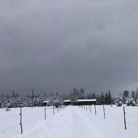 A With Horses Variku