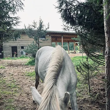 A With Horses Variku