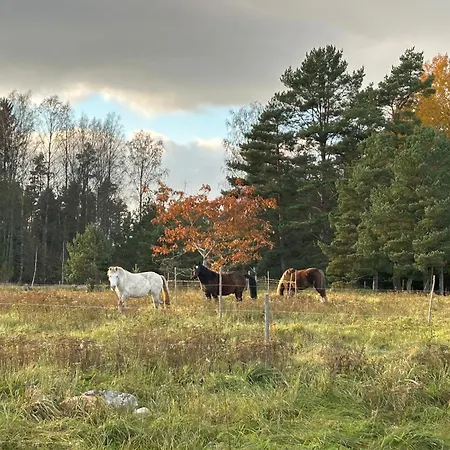 A With Horses * Variku