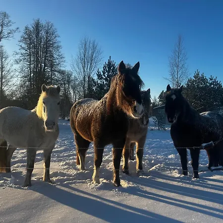 A With Horses Semesterbostad
