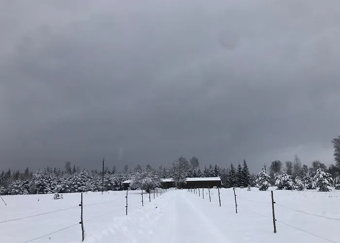 A With Horses Variku