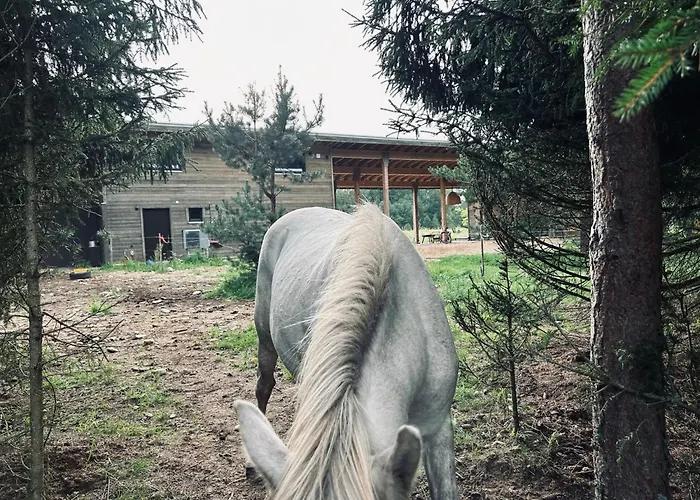 A With Horses Variku