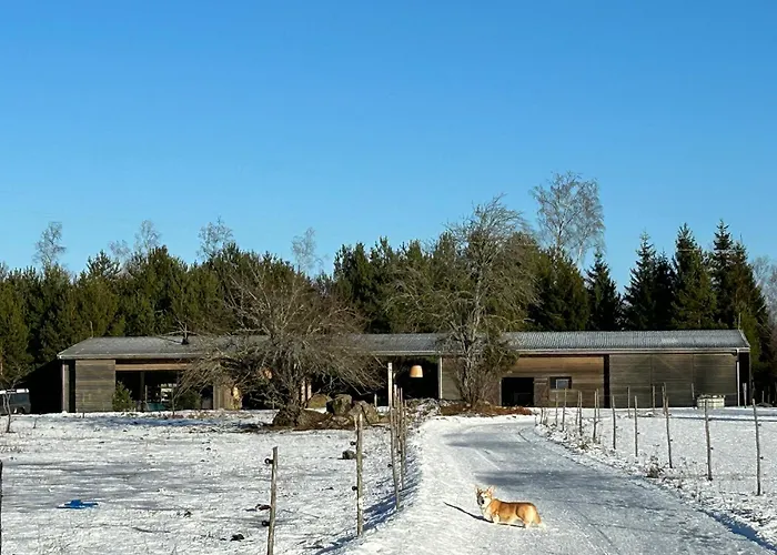 A With Horses * Variku