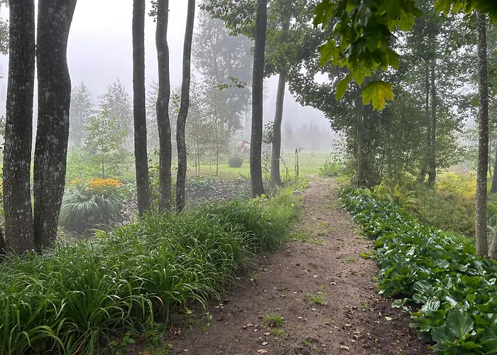 A With Horses * Variku