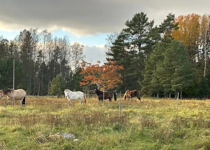 A With Horses * Variku